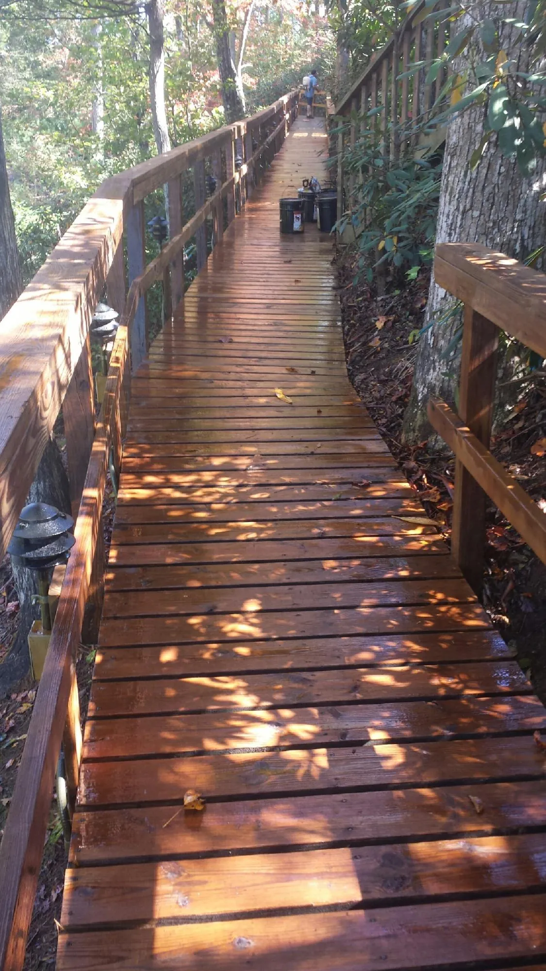 Freshly stained wood walkway winding through the woods in Kodak